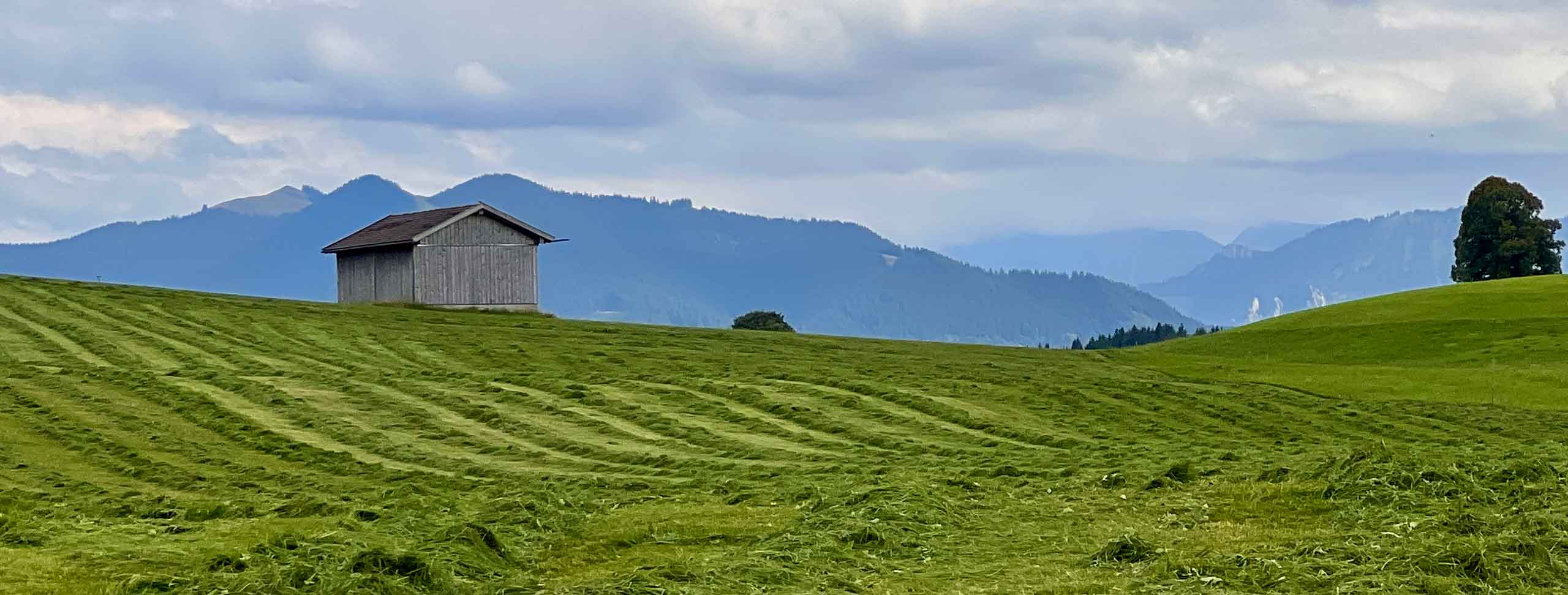 A1---Grundfutter--eigenes-Bild