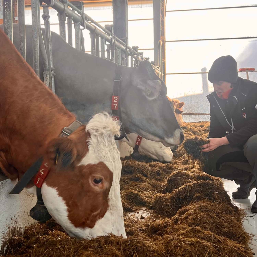 F2---Rationskontrolle-Gisela